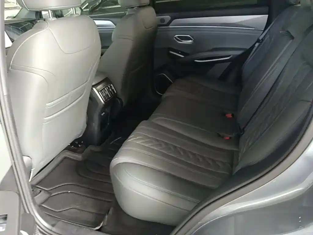 BYD L DM-i — фото 17