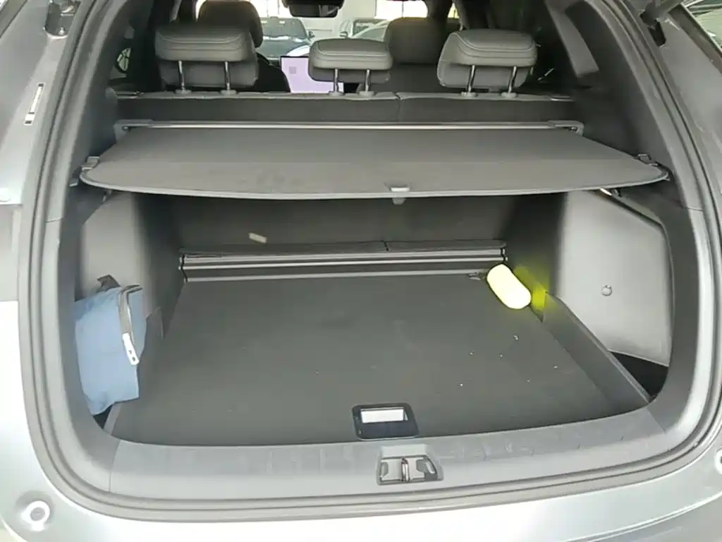 BYD L DM-i — фото 19