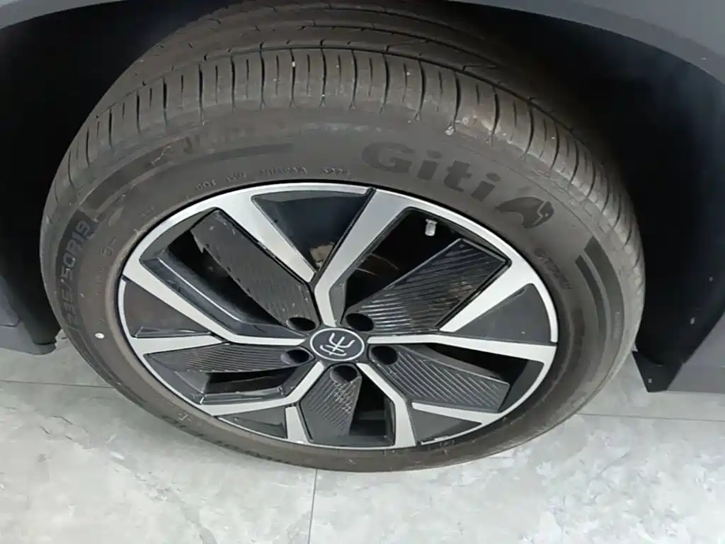 BYD L DM-i — фото 23