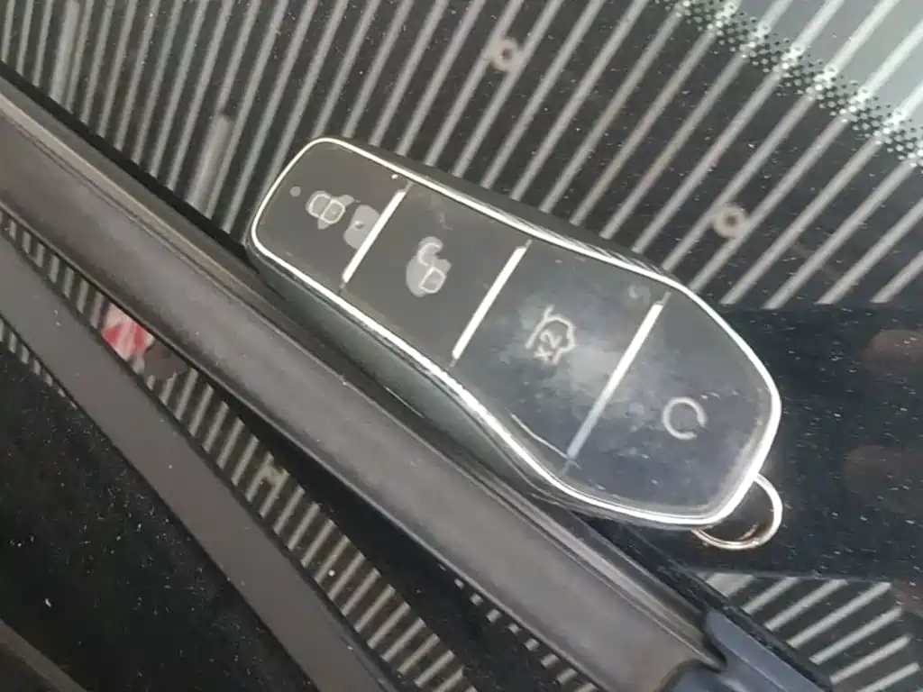 BYD L DM-i — фото 9