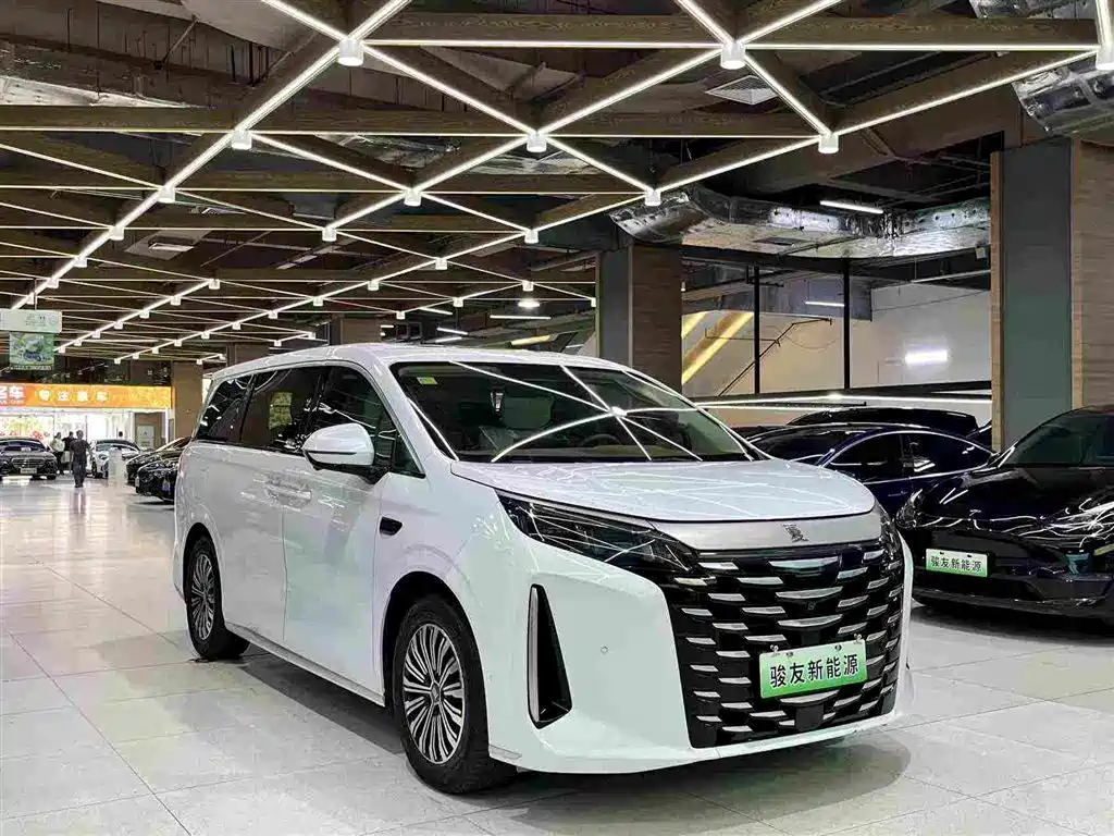 BYD Xia — фото 10