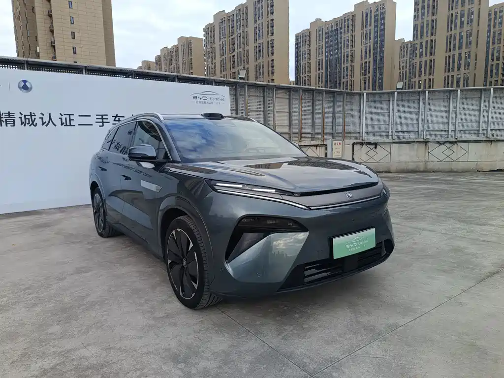 BYD Tang L — фото 3
