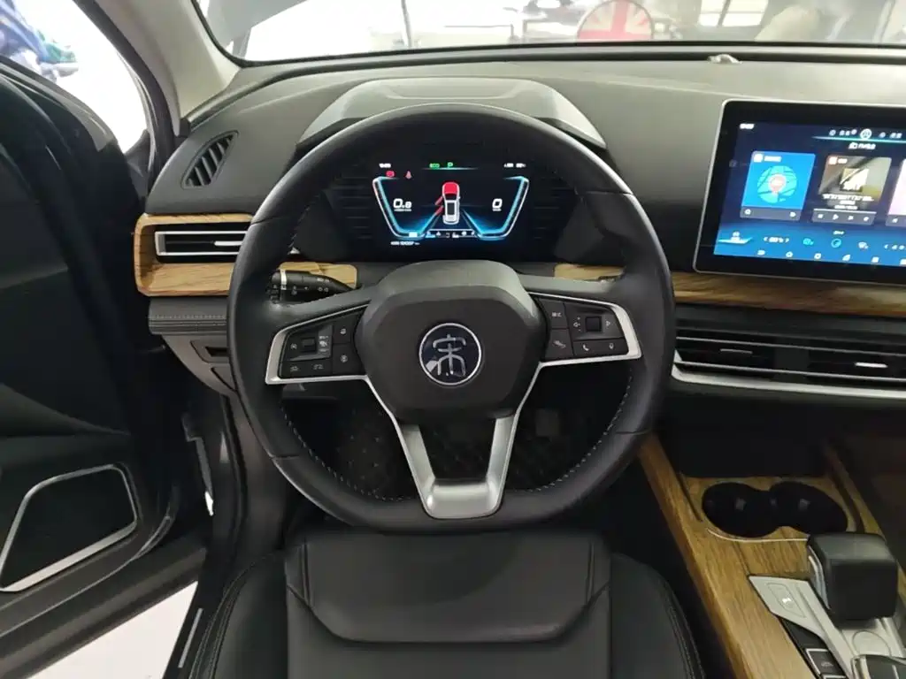BYD Pro — фото 11