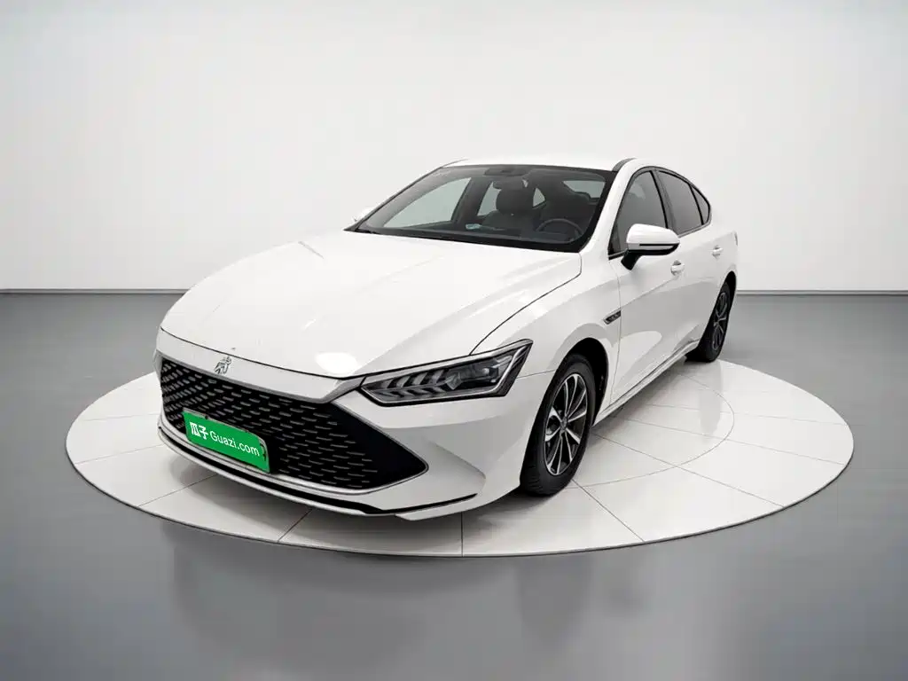 BYD Qin PLUS — фото 2