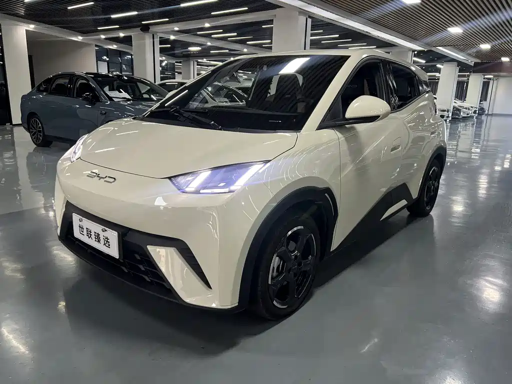 BYD Seagull