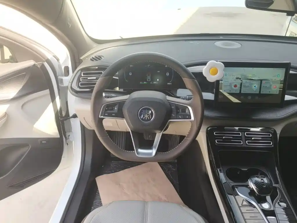 BYD Qin PLUS — фото 11