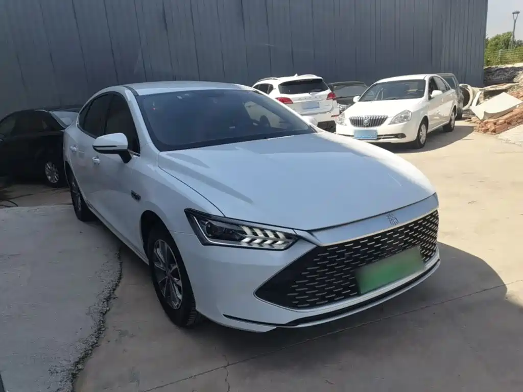 BYD Qin PLUS — фото 4