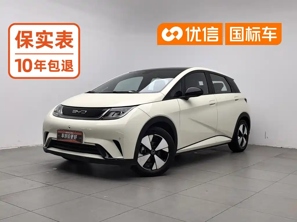 BYD Dolphin