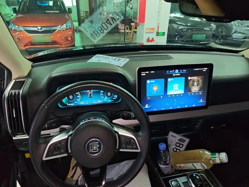 BYD Tang New Energy — фото 10