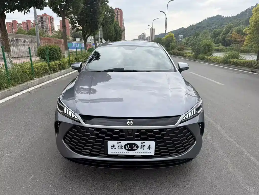 BYD Qin PLUS — фото 2