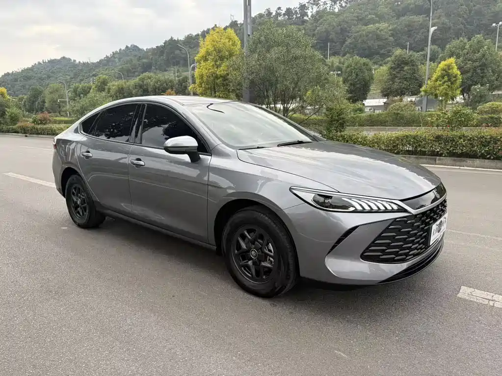 BYD Qin PLUS — фото 3