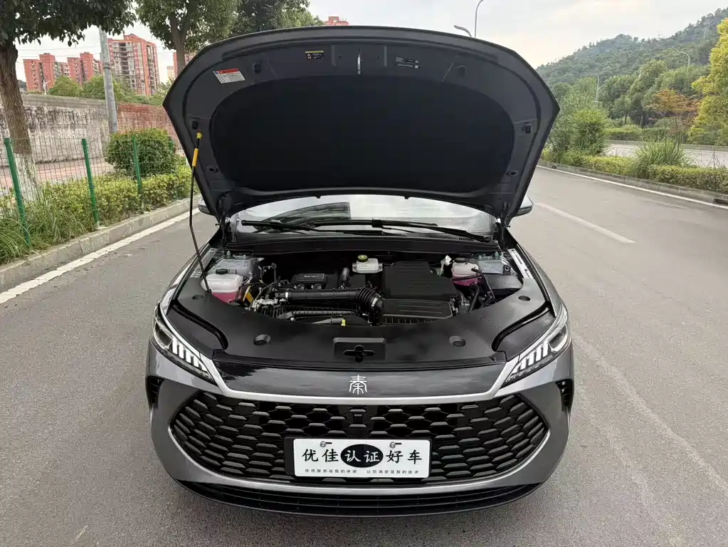 BYD Qin PLUS — фото 8