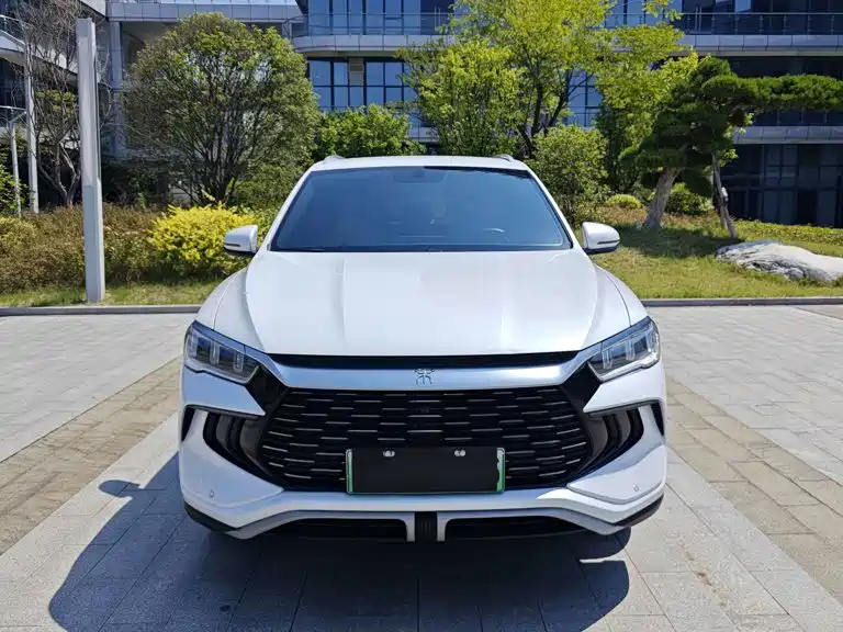 BYD Pro New Energy — фото 2