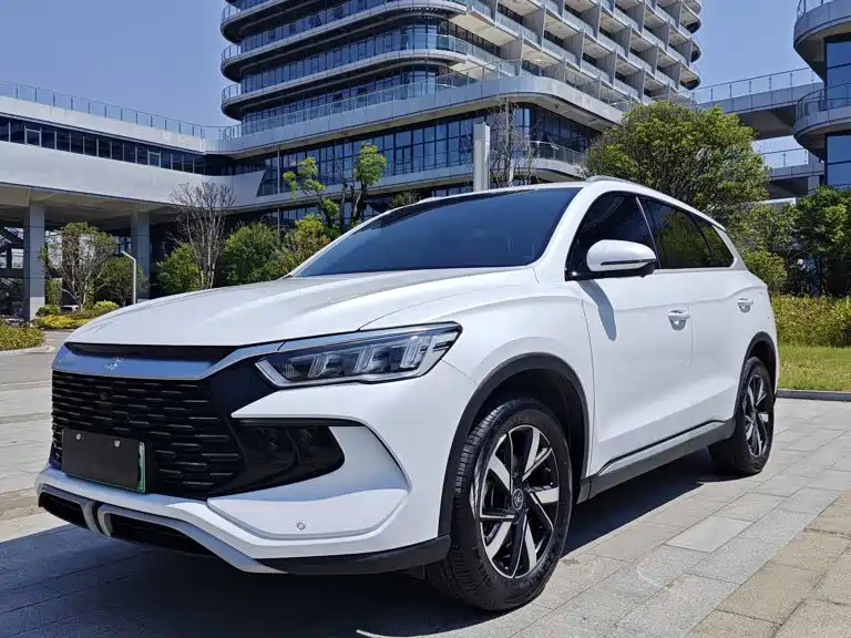 BYD Pro New Energy