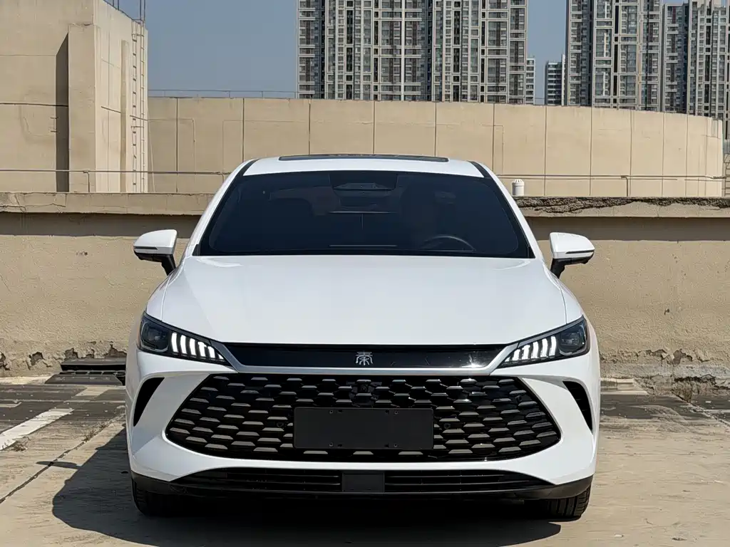 BYD Qin PLUS — фото 2