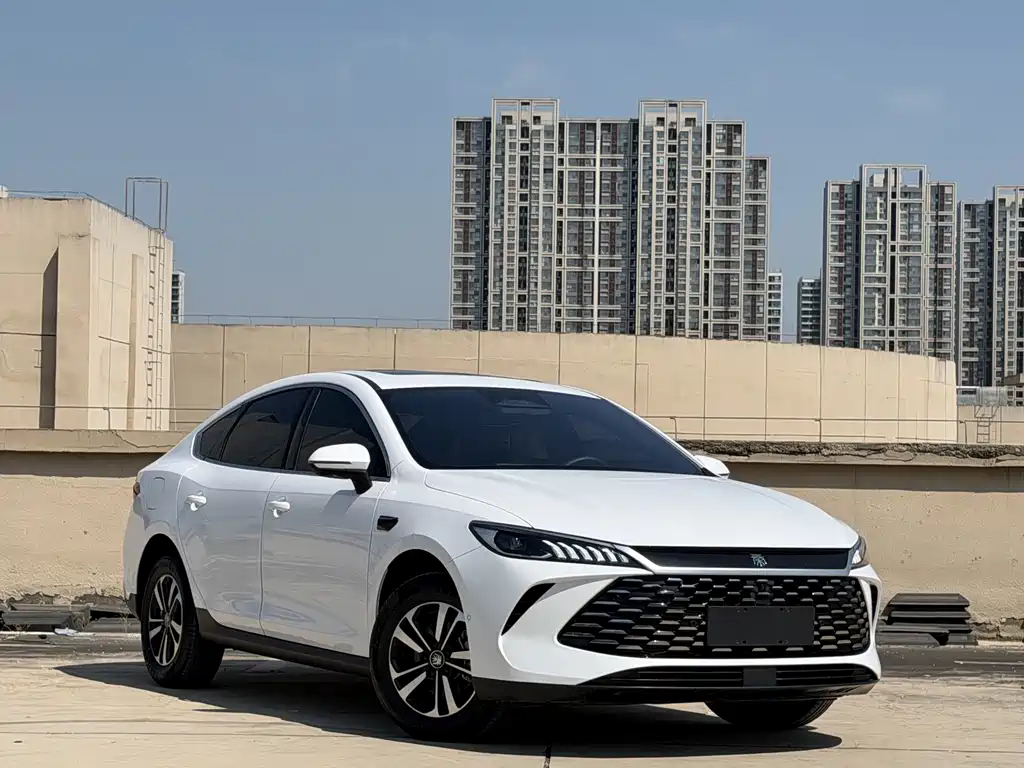 BYD Qin PLUS — фото 3