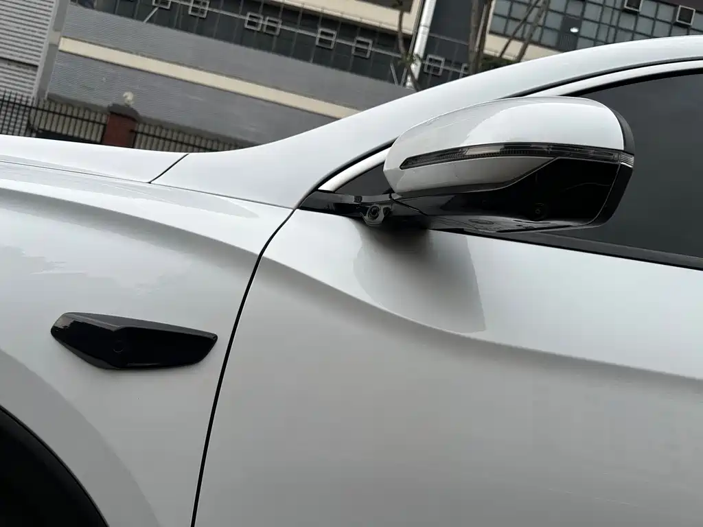 BYD Pro New Energy — фото 15