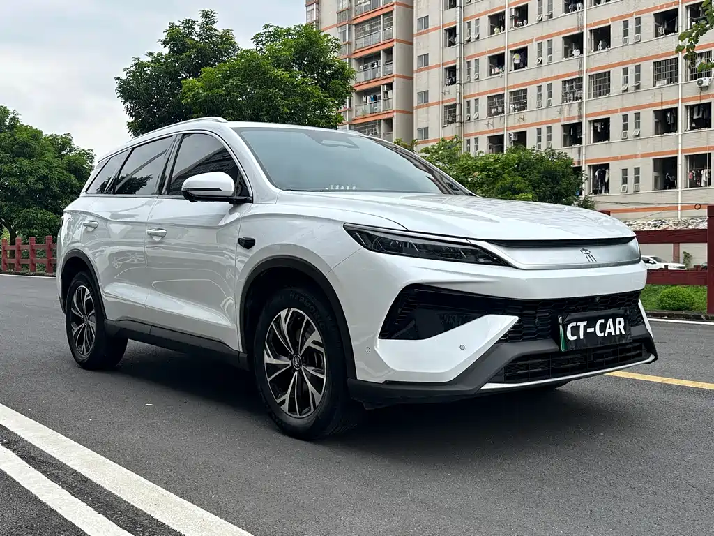 BYD Pro New Energy — фото 3