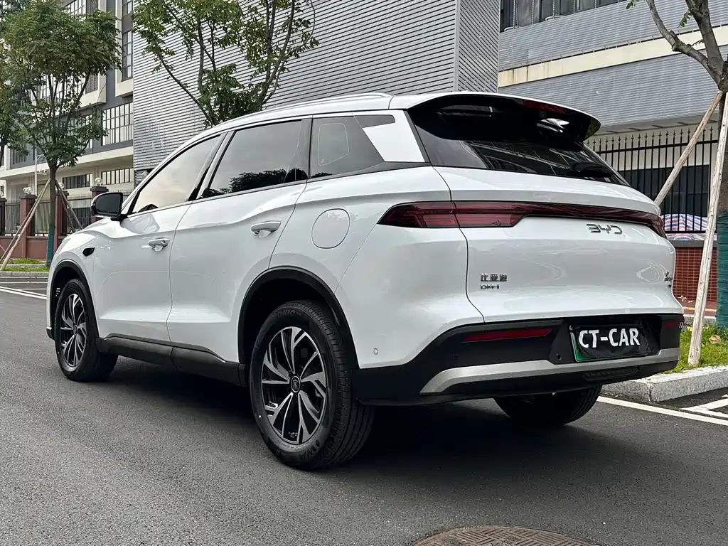 BYD Pro New Energy — фото 7