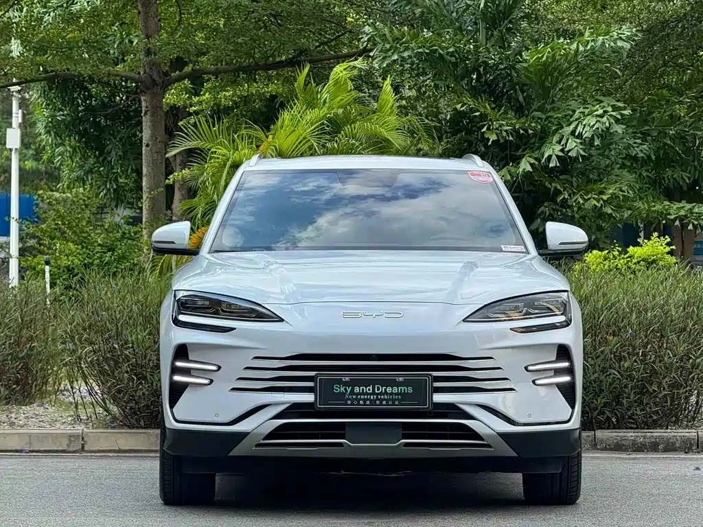 BYD PLUS New Energy — фото 2