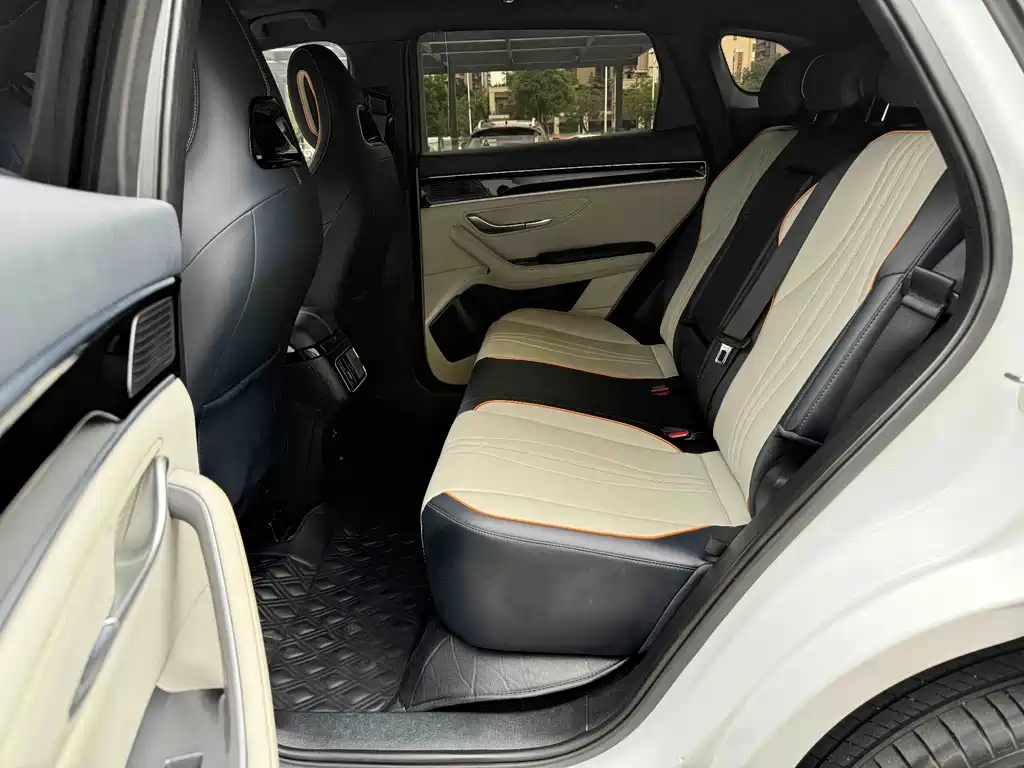 BYD PLUS New Energy — фото 11