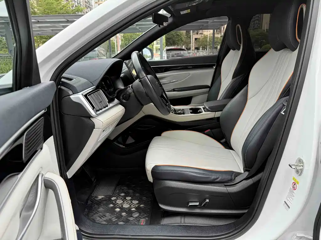 BYD PLUS New Energy — фото 14