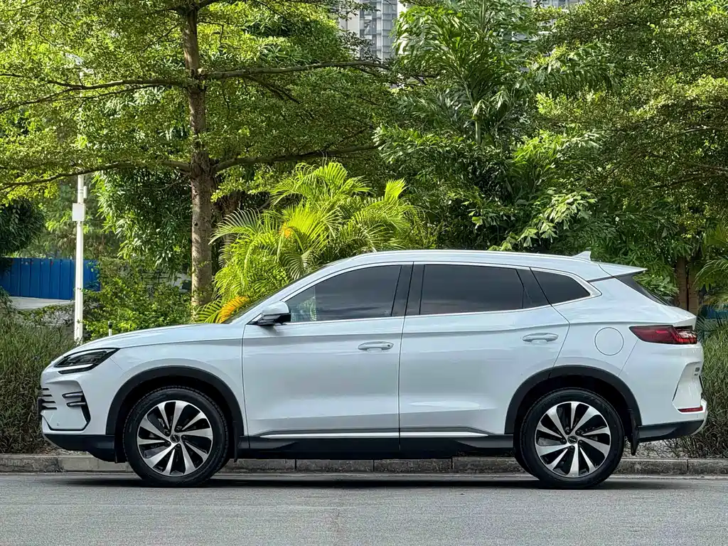 BYD PLUS New Energy — фото 3