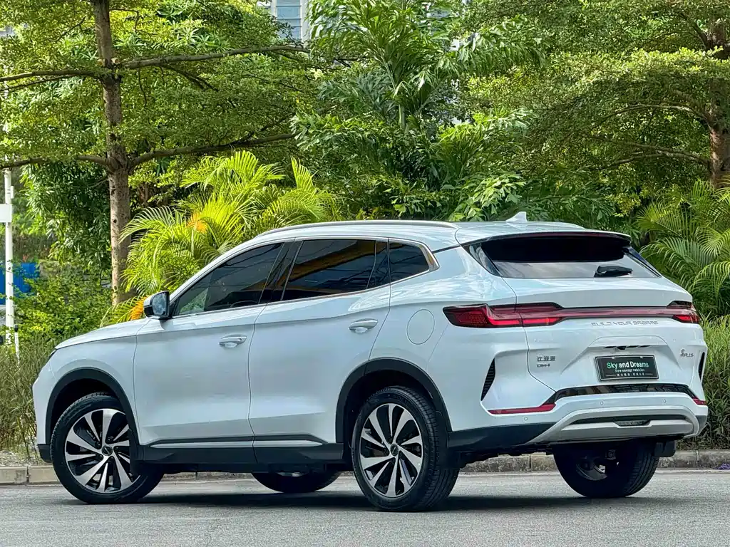 BYD PLUS New Energy — фото 4