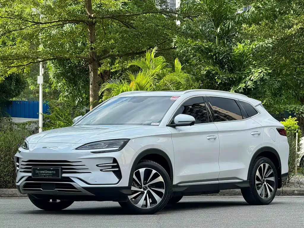 BYD PLUS New Energy