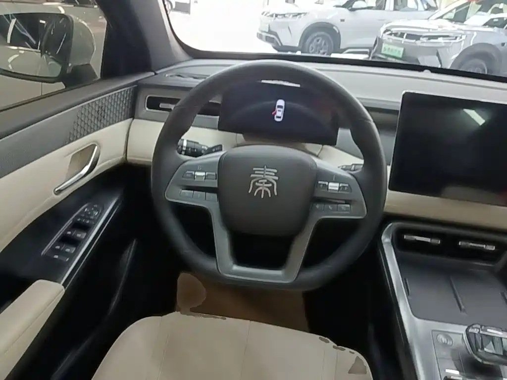 BYD Qin PLUS — фото 11
