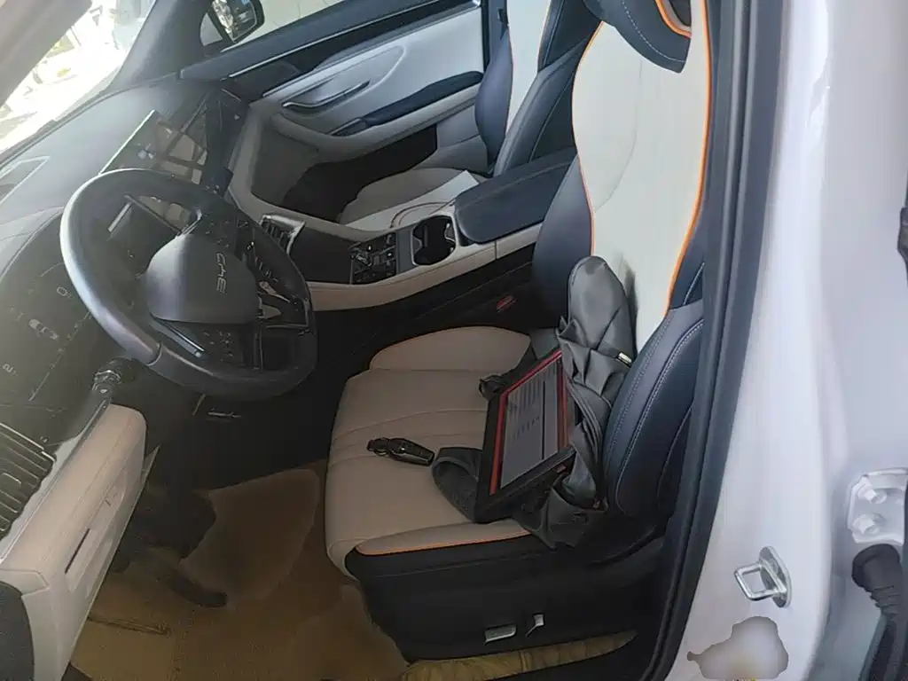 BYD PLUS New Energy — фото 15