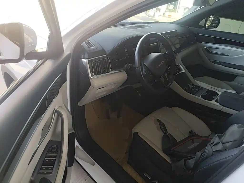 BYD PLUS New Energy — фото 16