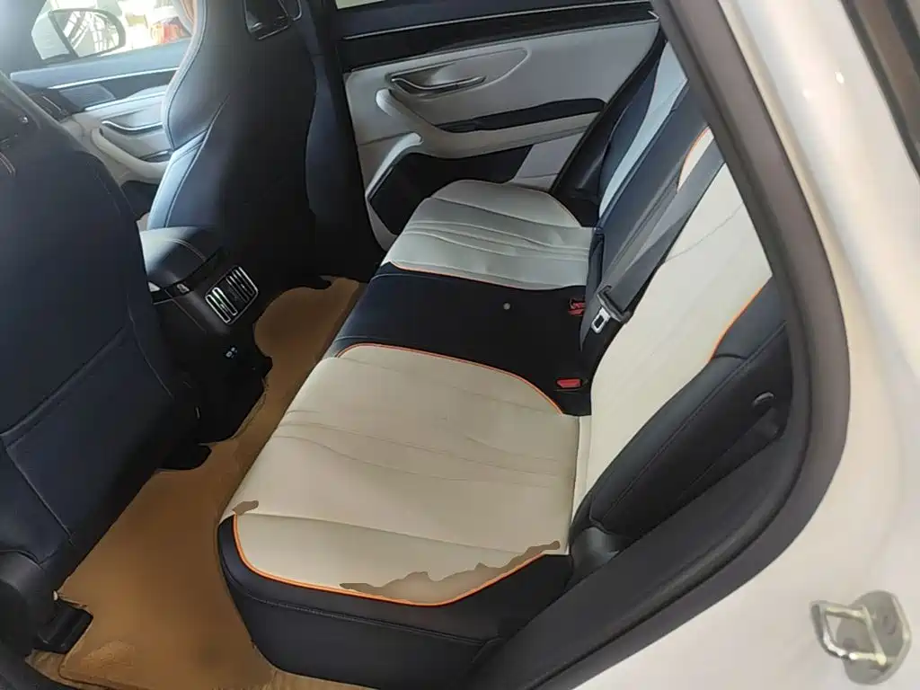 BYD PLUS New Energy — фото 17