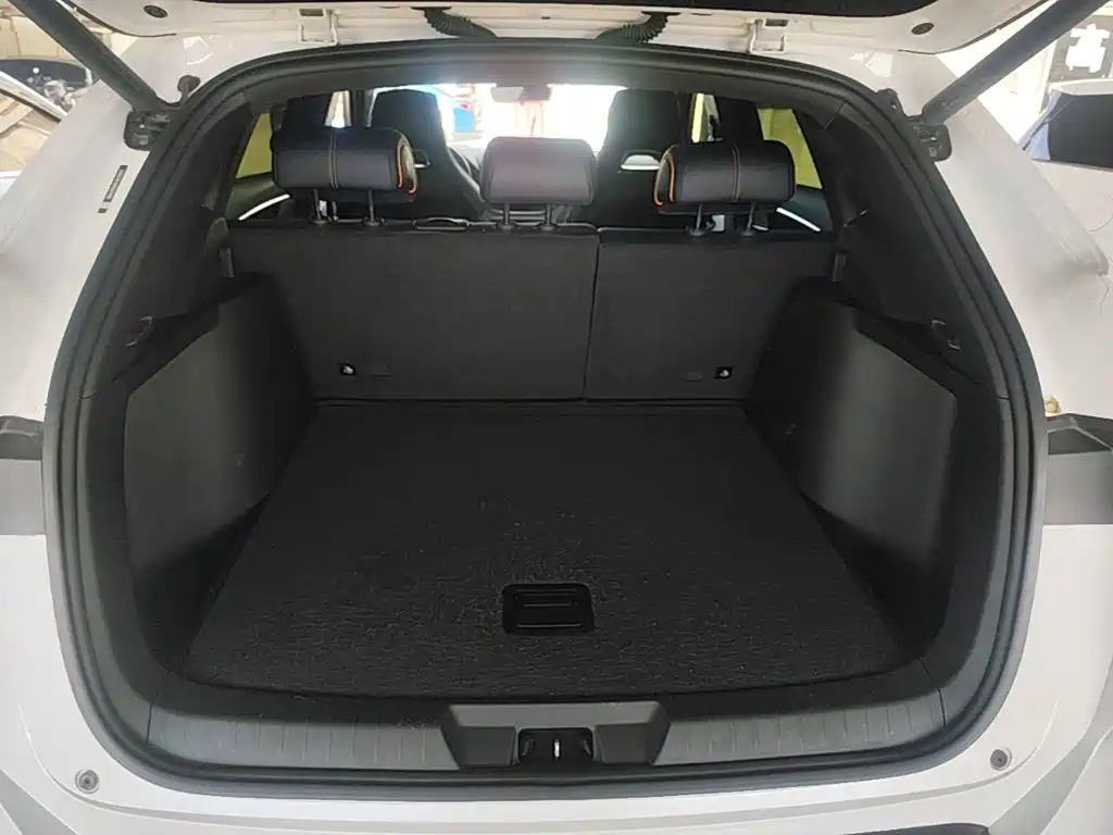 BYD PLUS New Energy — фото 19