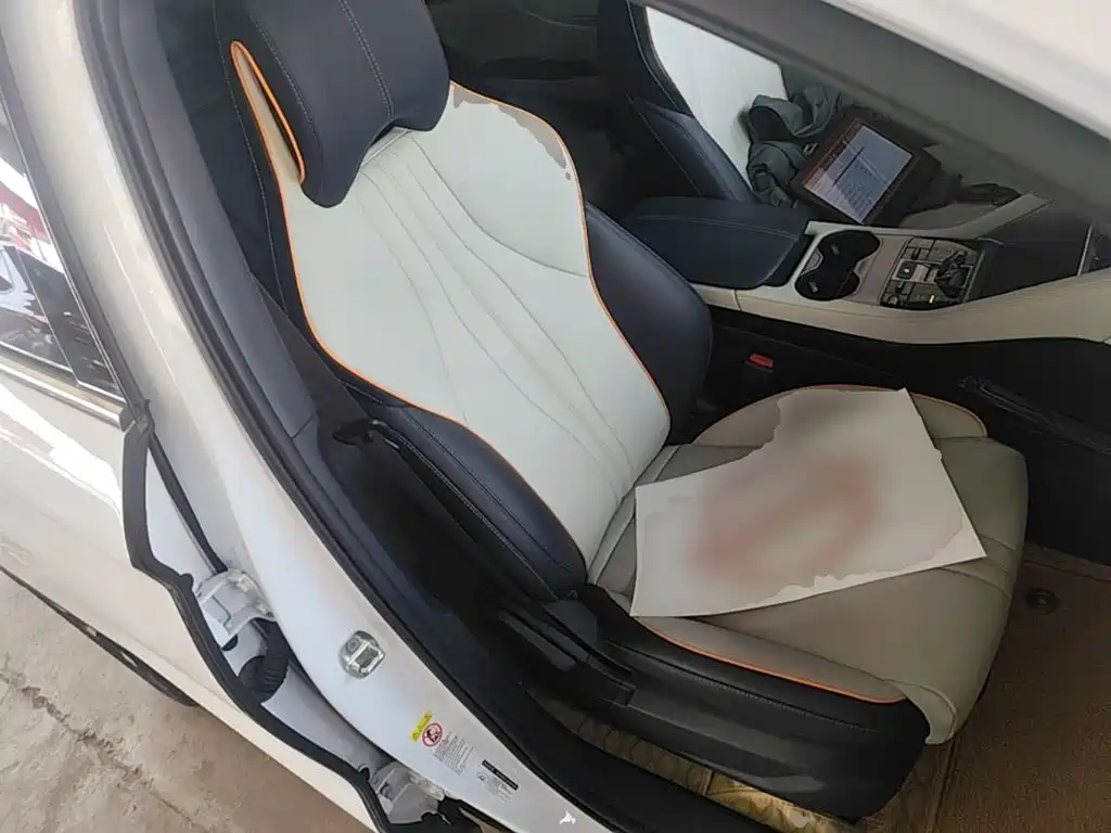 BYD PLUS New Energy — фото 25