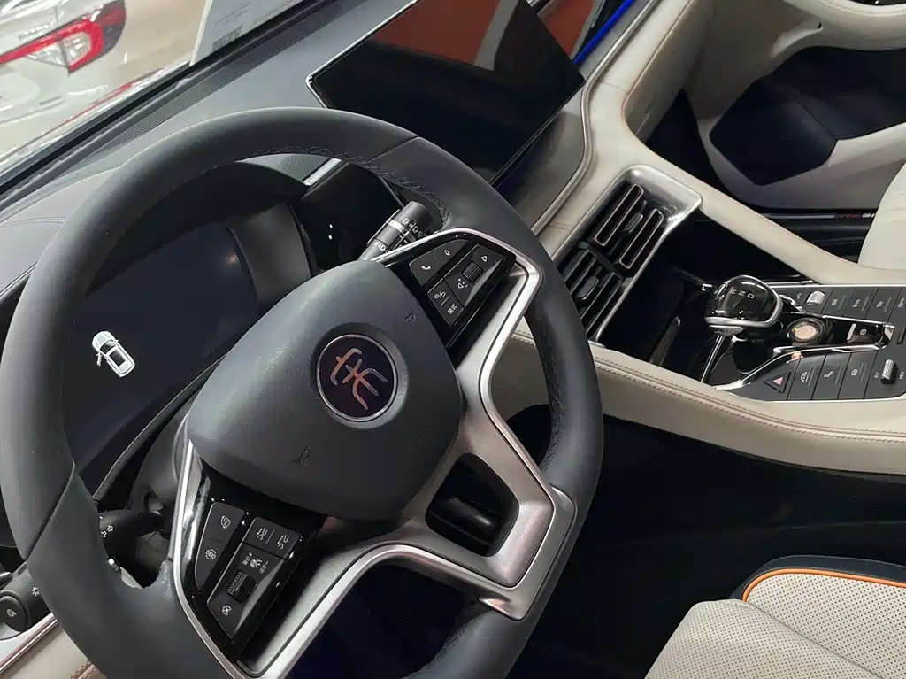 BYD PLUS New Energy — фото 11