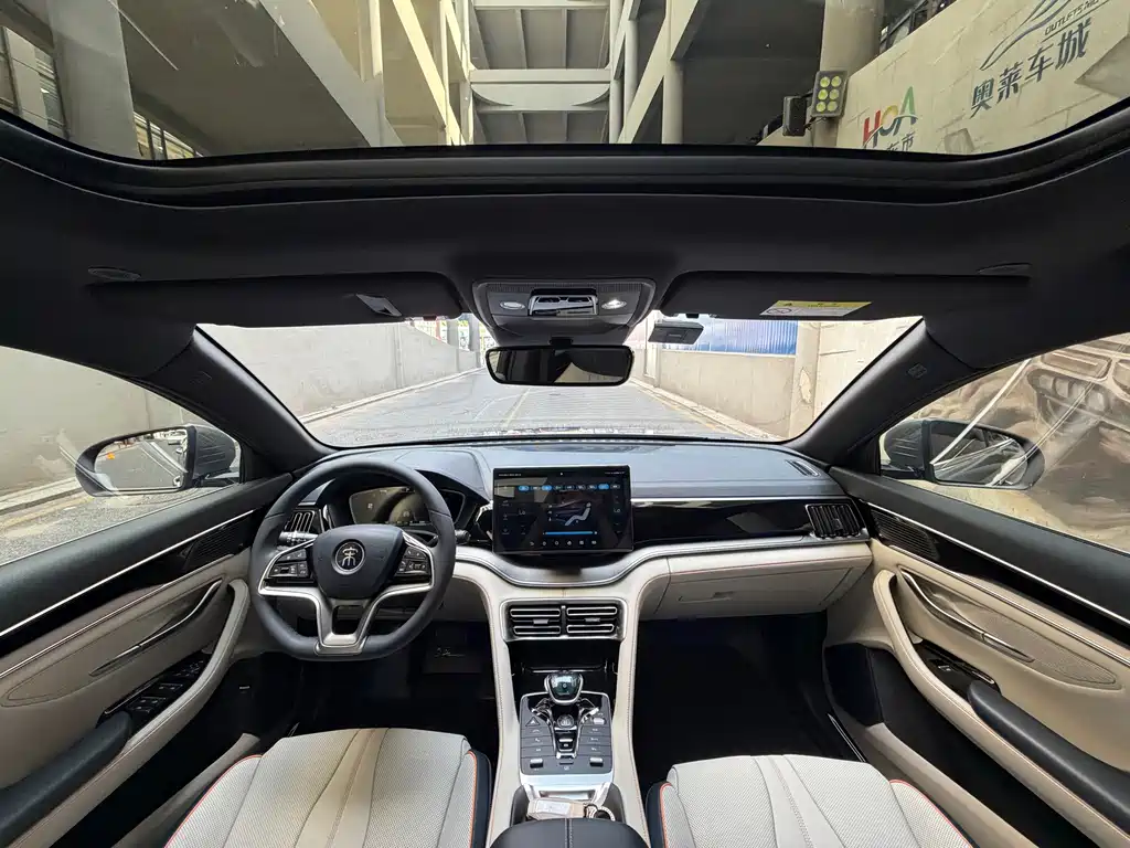 BYD PLUS New Energy — фото 4