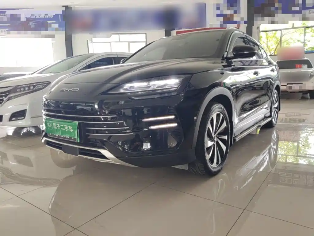 BYD PLUS New Energy — фото 2