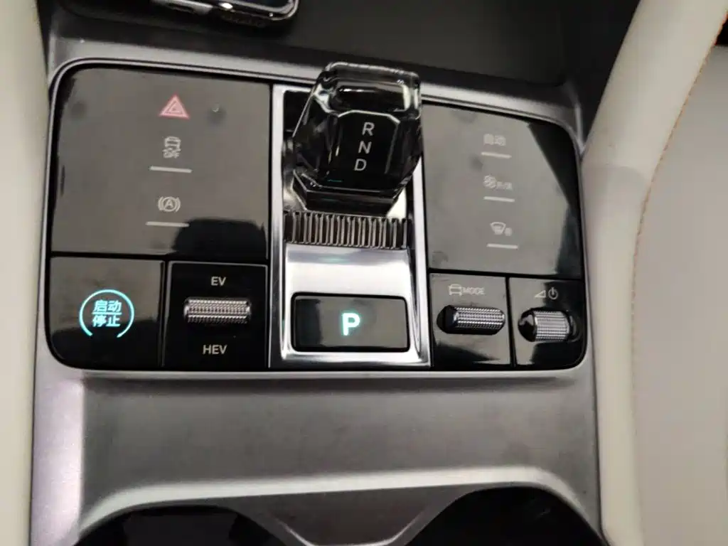 BYD PLUS New Energy — фото 14
