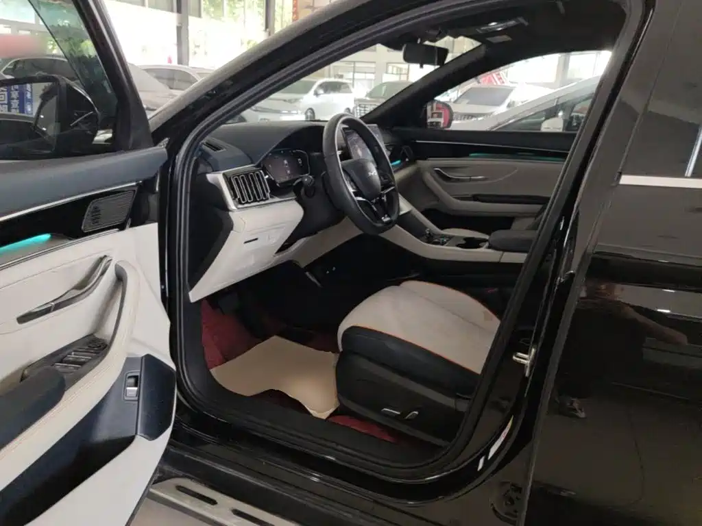 BYD PLUS New Energy — фото 16