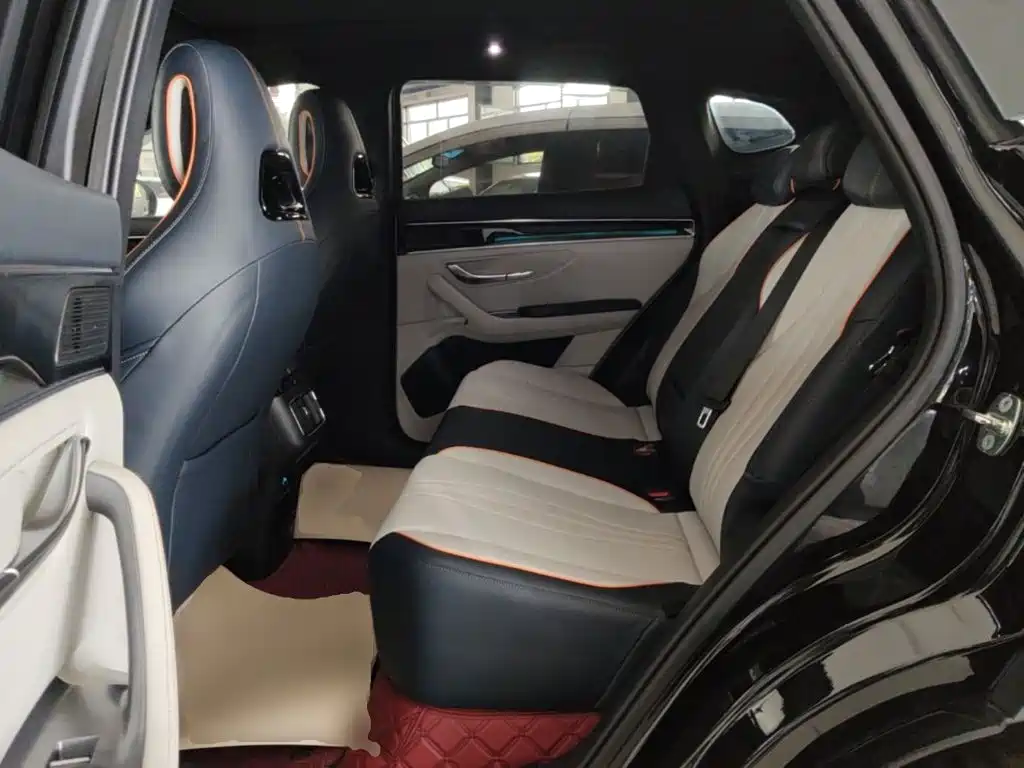 BYD PLUS New Energy — фото 17