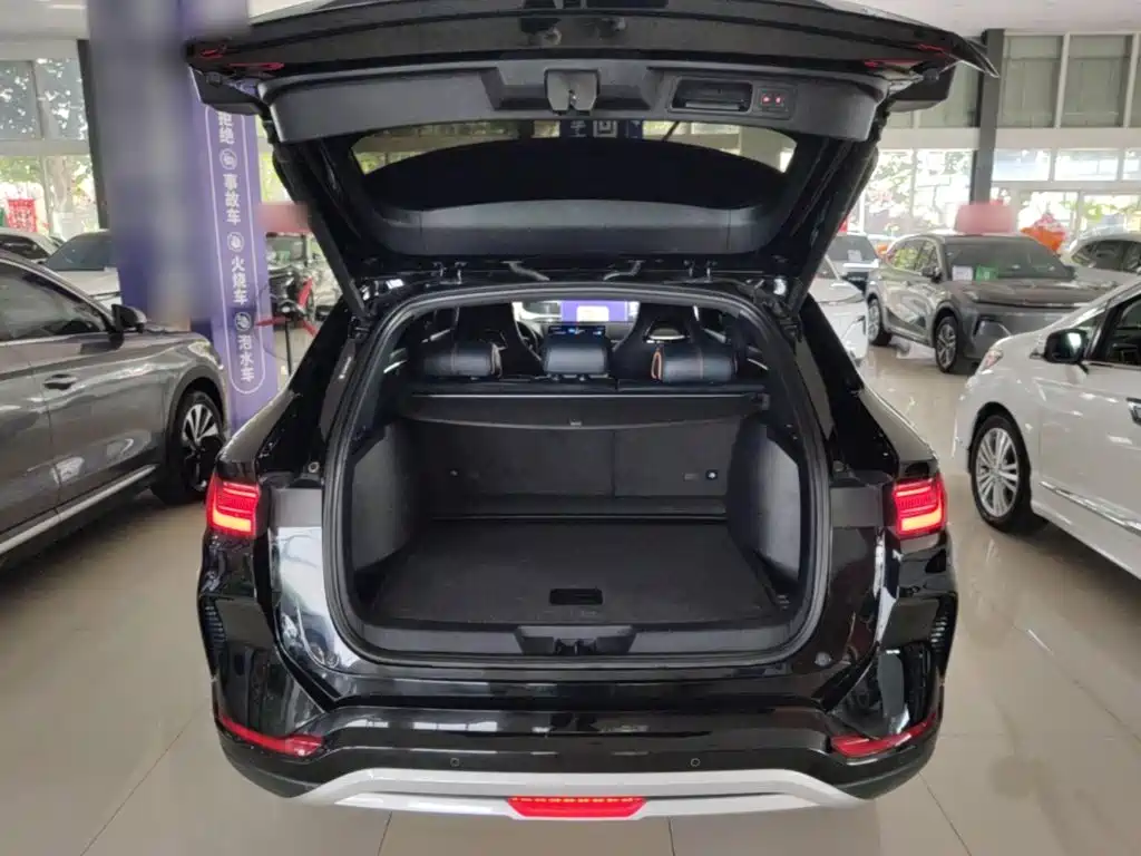 BYD PLUS New Energy — фото 19