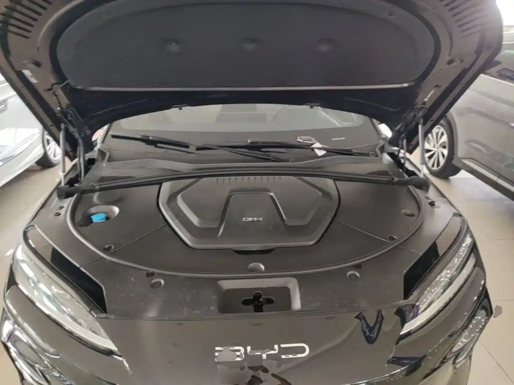 BYD PLUS New Energy — фото 20
