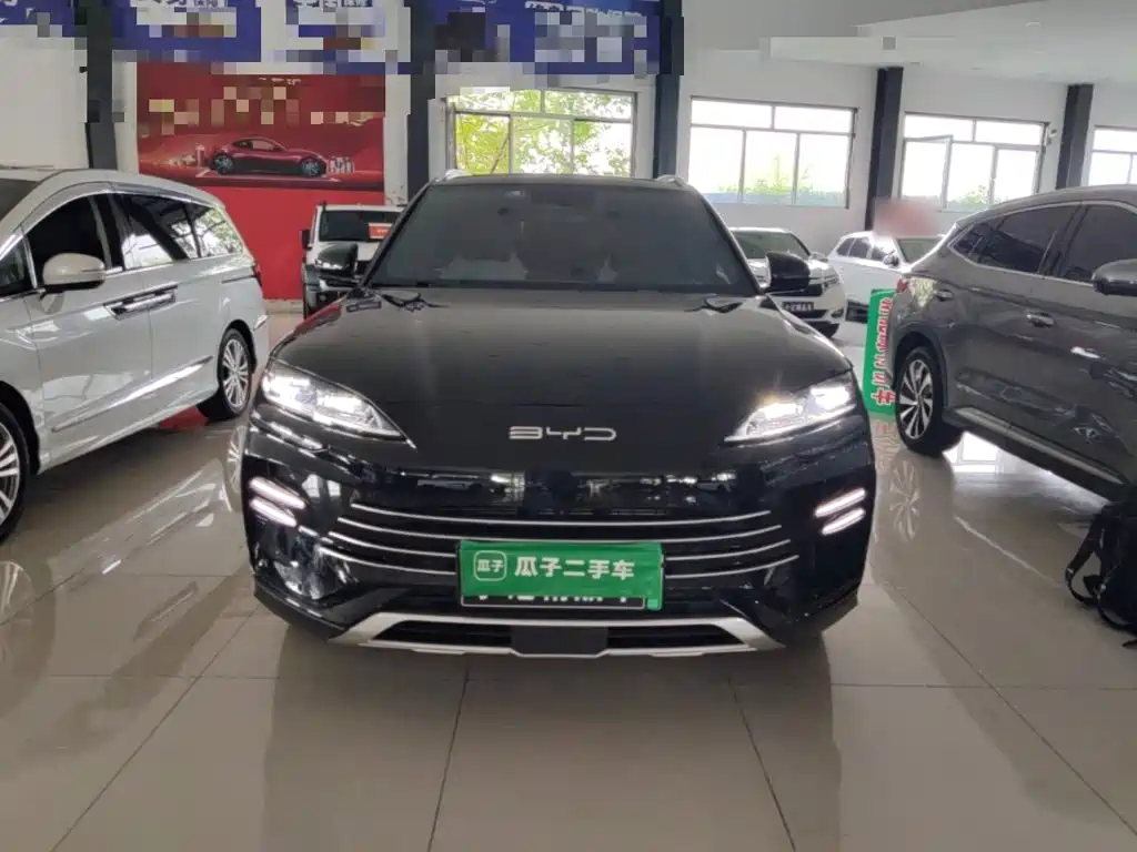 BYD PLUS New Energy — фото 3