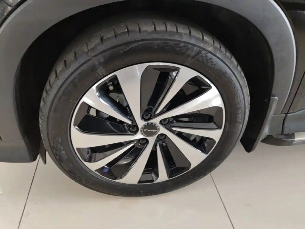 BYD PLUS New Energy — фото 23