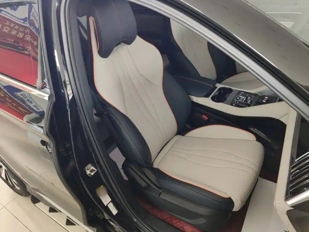 BYD PLUS New Energy — фото 25