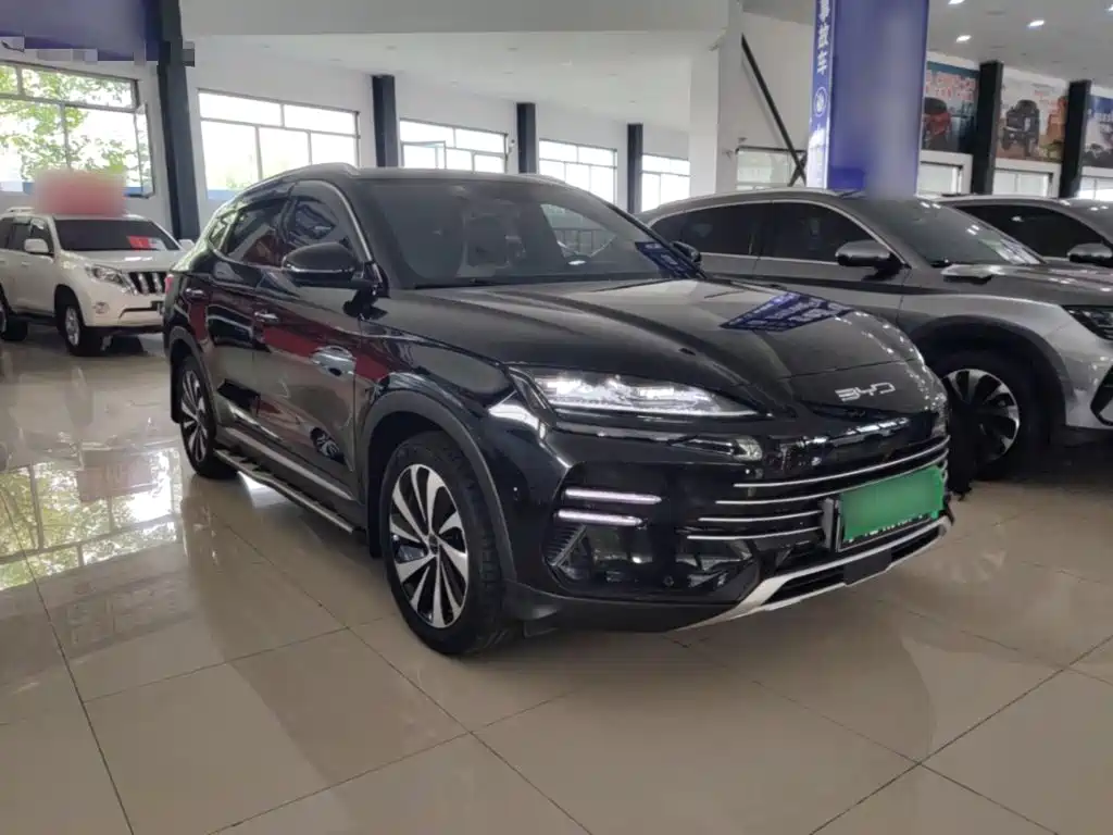 BYD PLUS New Energy — фото 4