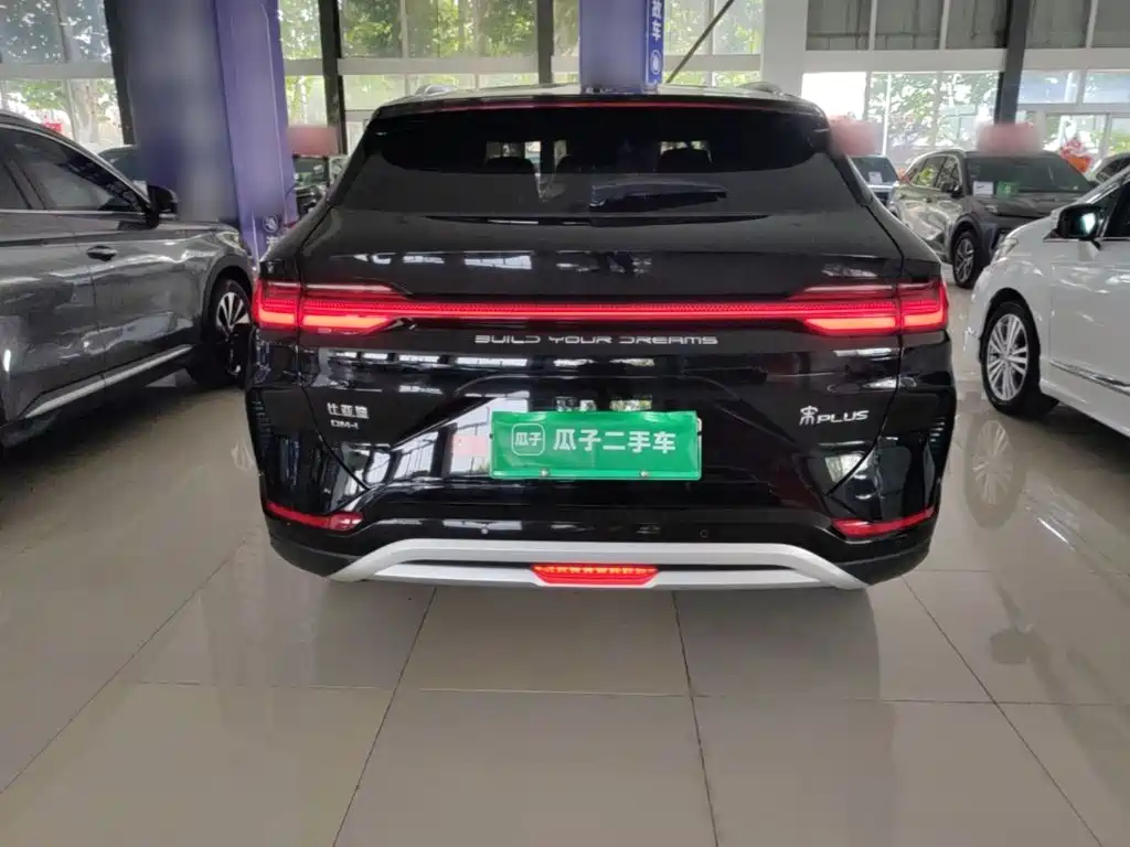 BYD PLUS New Energy — фото 6