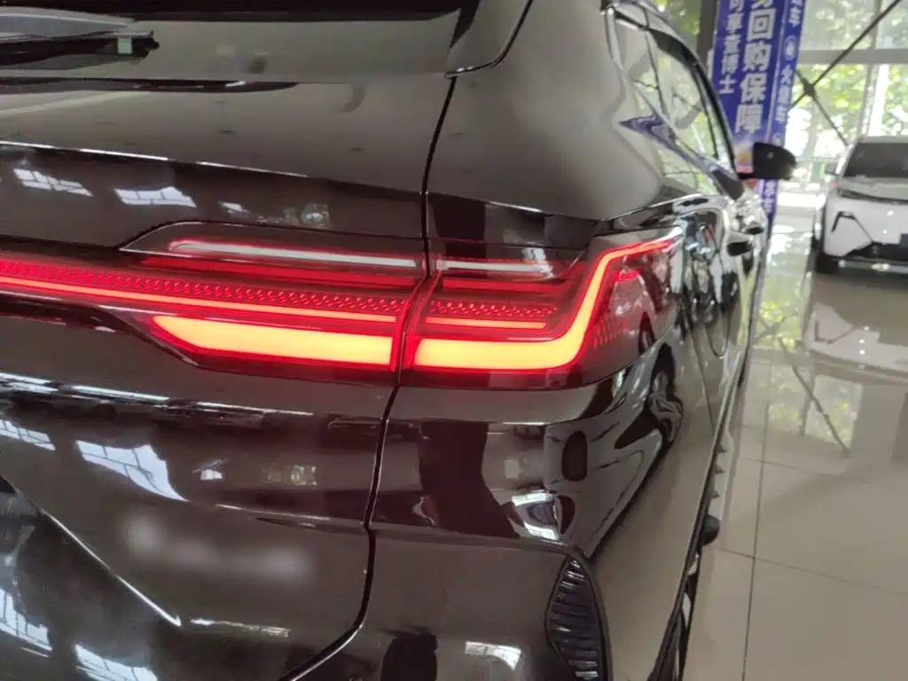 BYD PLUS New Energy — фото 8