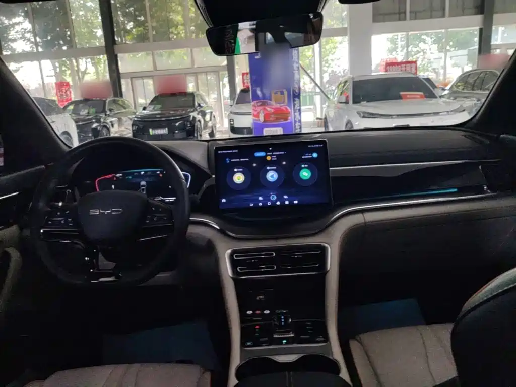 BYD PLUS New Energy — фото 10